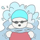 다온애견미용 이미지