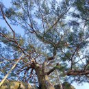 부춘마을 이미지