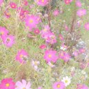 나들길 민박 이미지