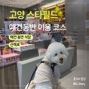 몰리스펫샵 스타필드 고양점 펫뷰티 | 고양 스타필드 (+애견동반 식당) | 고양 애견동반 당일치기