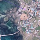 동일리-7 이미지