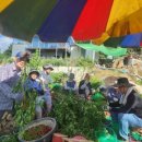 여자만마을 이미지