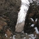 심원산장