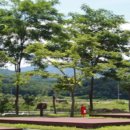 오토마을 이미지