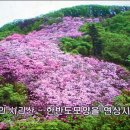 (주)노블젠 Daum카페