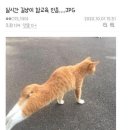 마석중앙로37번길1 이미지