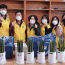 생활원예(반려식물) 이미지