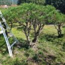 태광1농장 이미지