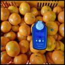 다미농장 이미지