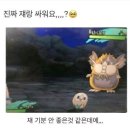 어린왕자