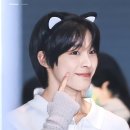 아라모드 이미지