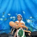 🐟오늘은 내가 해녀, 해남!🦀 이미지