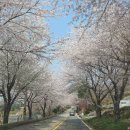이목안포로 이미지