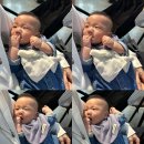 부림체육관 | 4월 1-2주