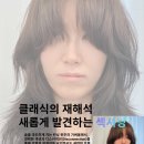 살롱드라엘 | 강릉 미용실 커트교육｜살롱드라라 전 직원 사순커트교육 후기, 기본기가 실력을 만든다