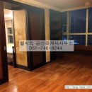 대우마린공인중개사사무소 이미지