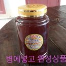 송화 농장 이미지