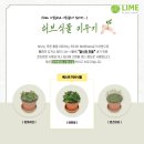 라임기획 이미지