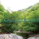 대세산 8월 정기산행 지리산 칠선계곡과 신비의 동굴법당 서암정사 이미지