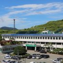 함안활어 이미지