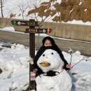 힐링캠프달래촌 이미지