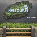 제주소길리댁 | 제주 | [여행] 3일차 마지막 하루, 맛집 투어 『 하나맘김밥』, 『 우진해장국』