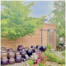 소일뜨락 이미지