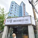다몽헤어떼라피
