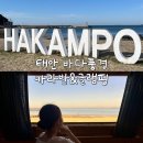 [태안 여행] 학암포 해수욕장 오션뷰 바다풍경카라반&amp;글램핑 바베큐 정보, 가격, 갯벌체험 솔직후기