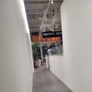 미스터크로플 | 세종에 진짜 크로플이 나타났다! "미스터크로플" 후기