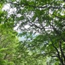 국립미천골자연휴양림 이미지