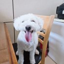 블루포인트 | 광주 신창동 블루포인트 샌드위치 배달 간단후기