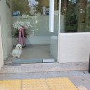 삼색이동물병원 이미지