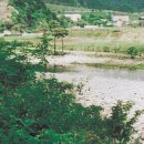 직동천 네이버블로그