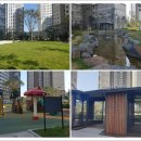 솔밭공원 농구장 이미지