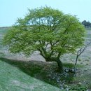 규환목장 이미지