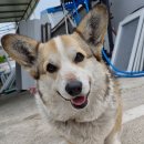 (주)주원 이미지