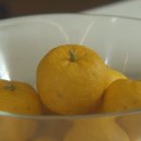 마당과다락방