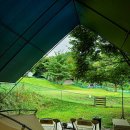 강아지천국 | [개똥이네]강원도 홍천 강아지들의 ‘천국’ 개똥이네 애견캠핑장 방문후기!
