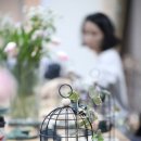 꽃 클래스 화훼장식기능사 이미지