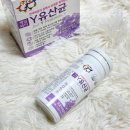 여성유산균 장건강 질유산균 알약 쎈트힐 제일와이 Y유산균