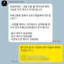 [경남 거제] 마이블루발렌타인, 모듬케이크 포장 후기