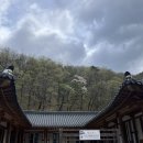 신흥사 | 속초 설악산 신흥사 템플스테이 후기