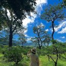 샘물농장 2 이미지