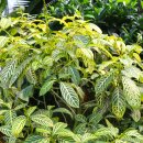 상동호수공원 이미지