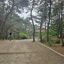 몰운대유원지약수터 이미지