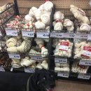 행복한댕댕이 이미지