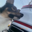 오천삼광시장 이미지