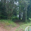 명정고개길 이미지