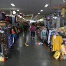 호야네 다육이 이미지